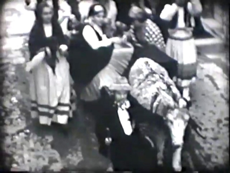 28b-Carretto siciliano.jpg