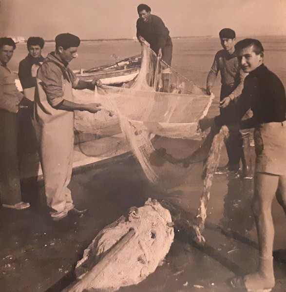 278o-Giovani -Trattaroli- si riconoscono i fratelli BoscoloGalliano e Nino, Fiama e Bellini Mario..jpg